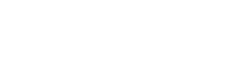 Zenith newlogo bn bianco 1